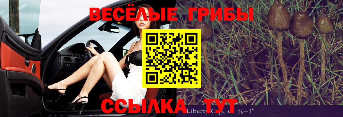 Псилоцибиновые грибы мухоморы  Галлюциногенные грибы Cubensis  Ярославль  Вход с VPN 